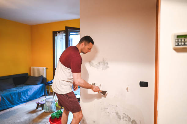 Best Local Mold Removal Service  in Caseyvle, IL
